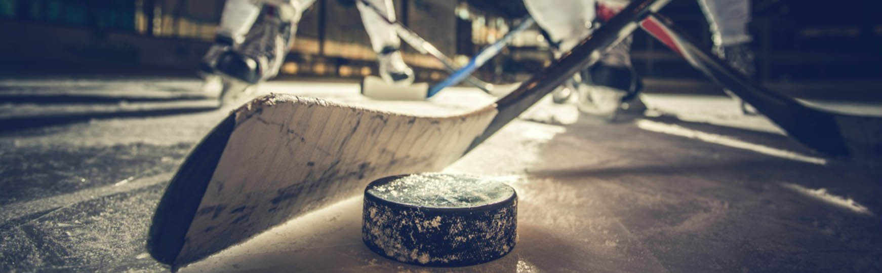 Eishockey Ausrüstungs Geschäft -Eishockey Ausrüstungs Geschäft gk